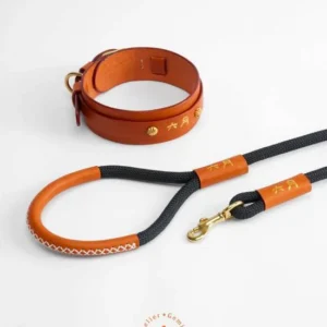 Hand-stitched leather leash